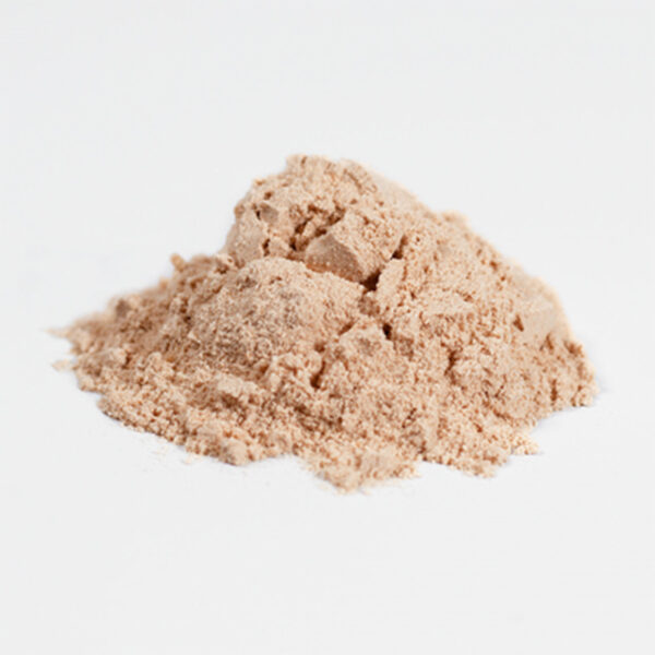 Fermented-Mushroom