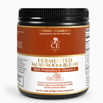 Fermented-Mushroom