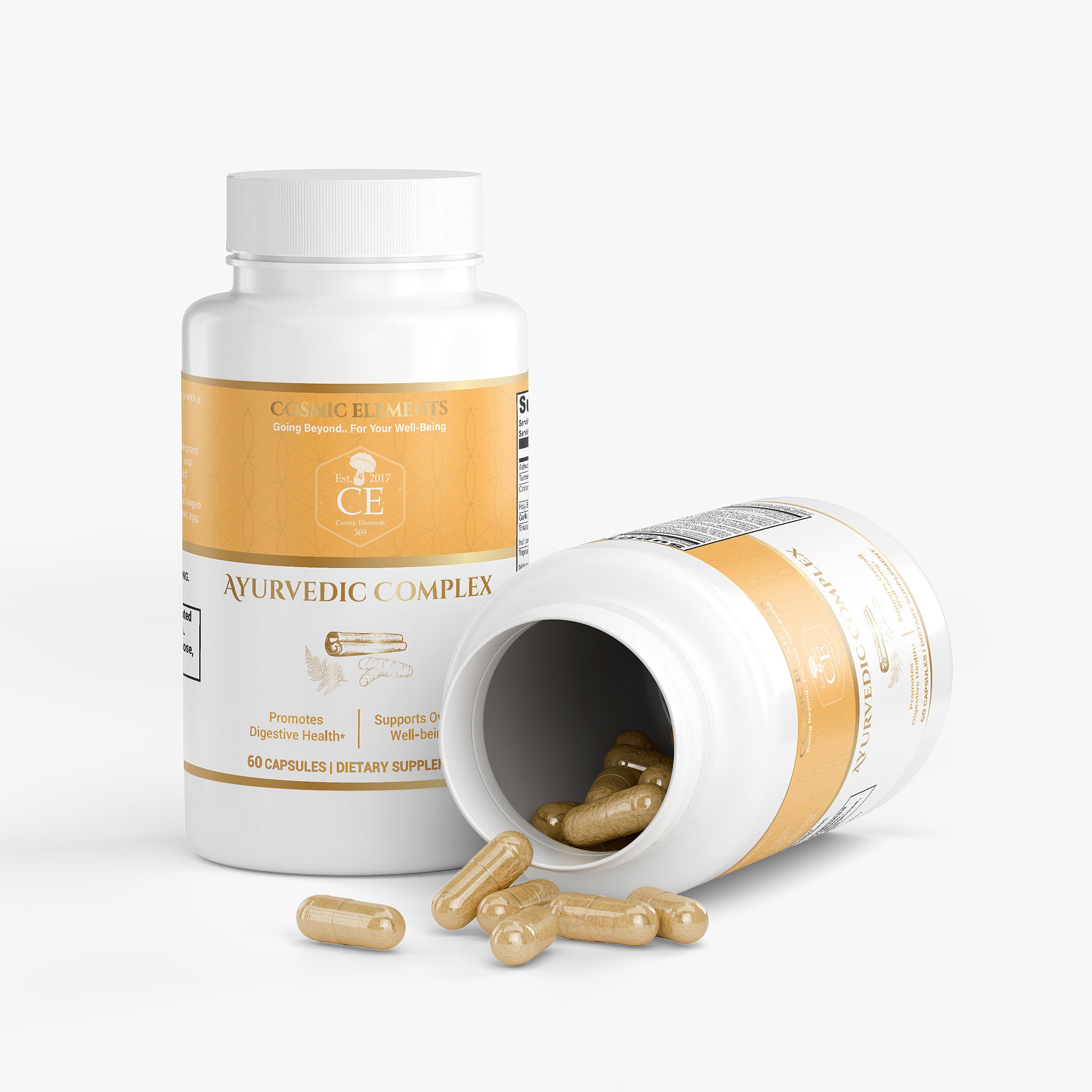 Ayurvedic Complex - Image 6