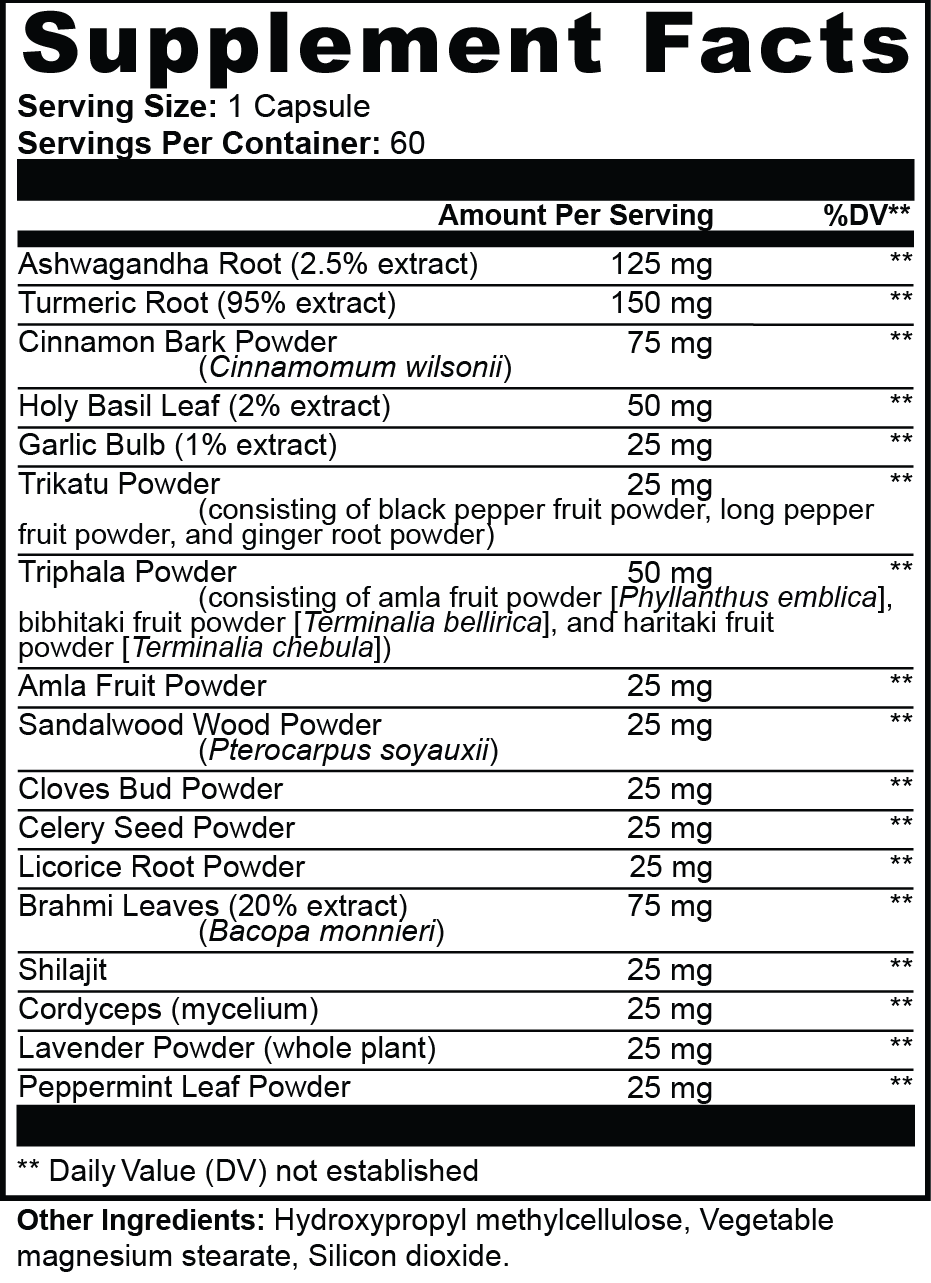 Ayurvedic Complex - Image 3