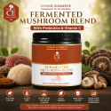 Cosmic Elements Fermented Mushroom Blend cover image