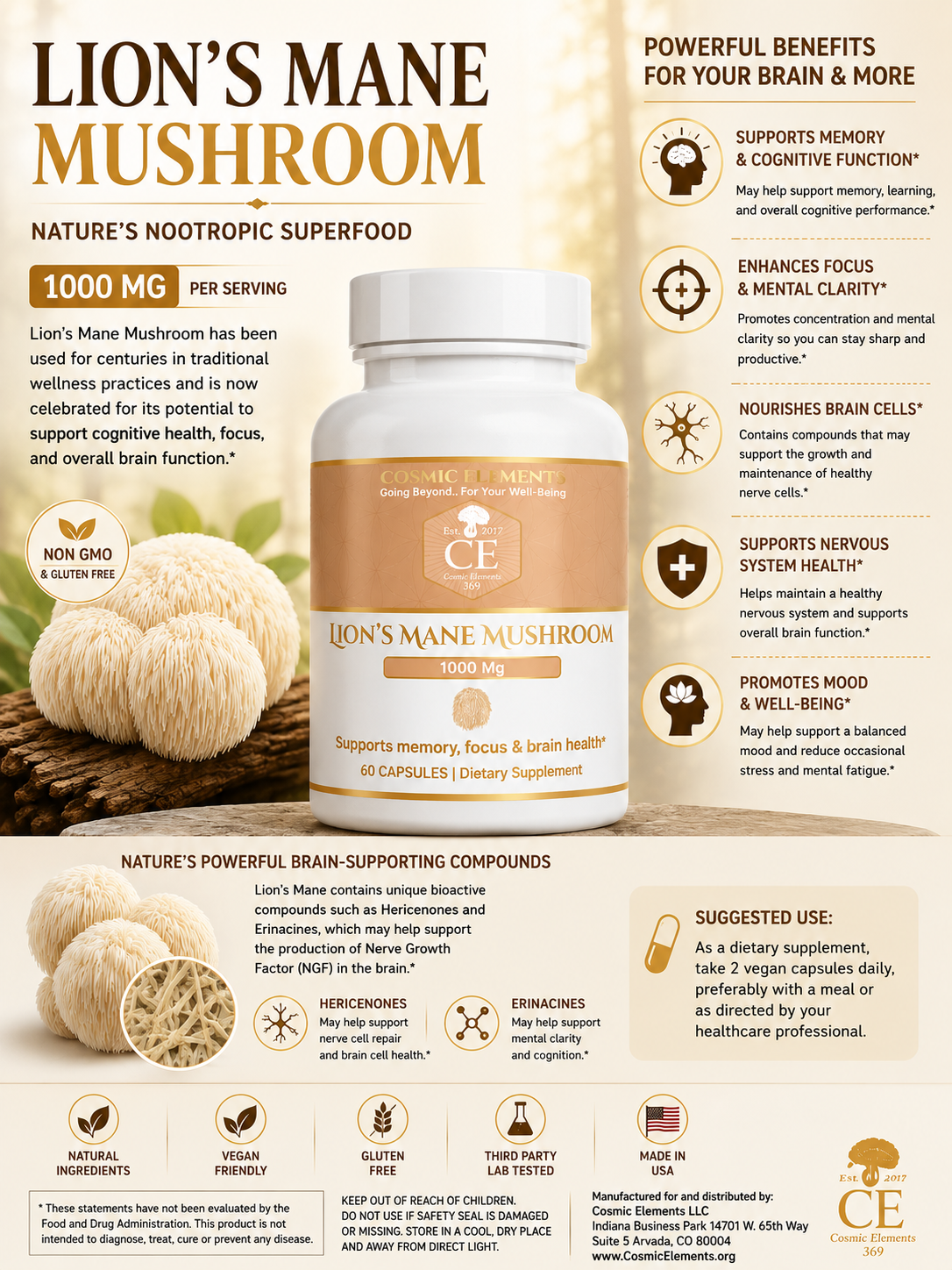 Lion's Mane Mushroom - Image 2
