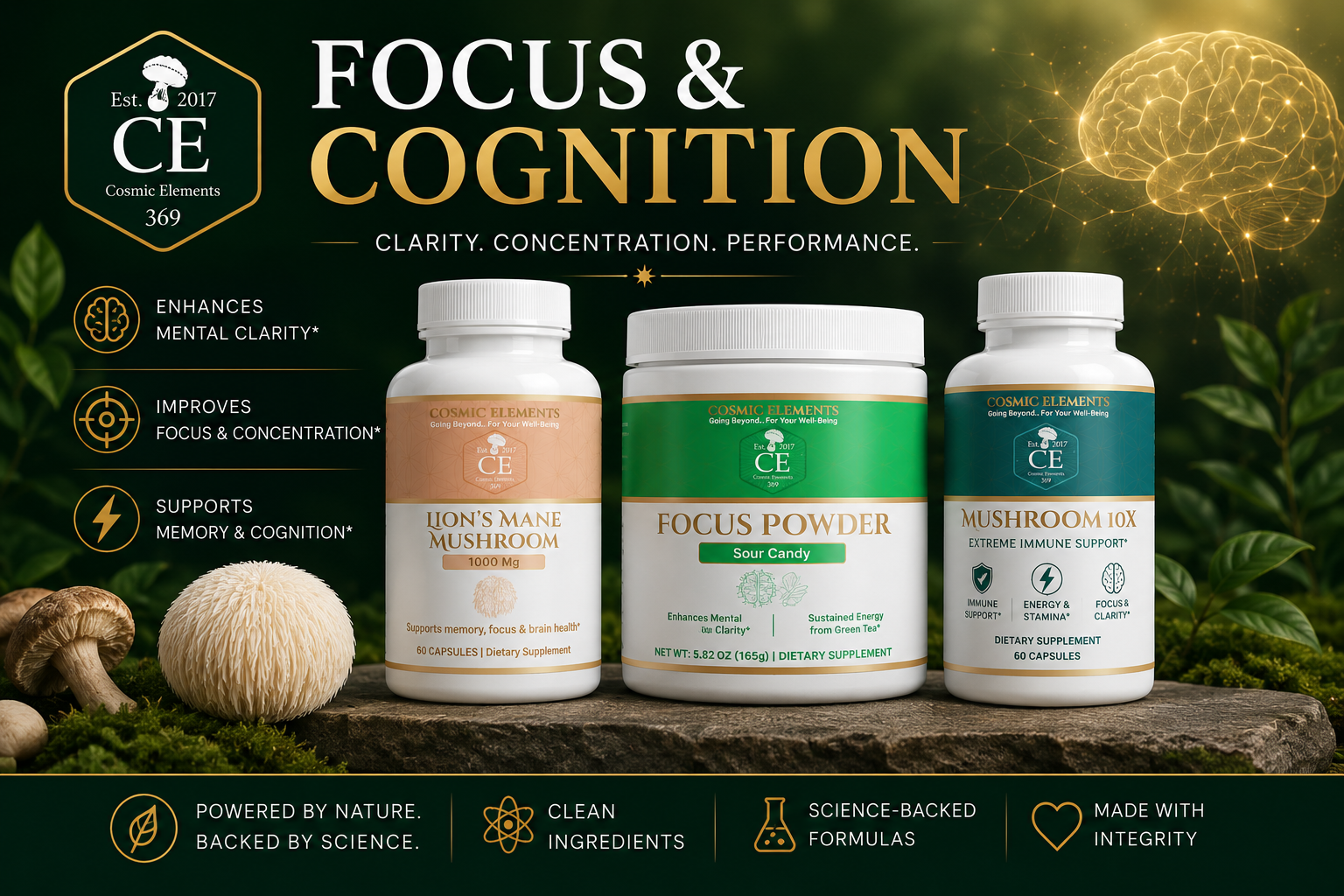 Focus and cognition supplement collection with lion mane, focus powder, and mushroom complex