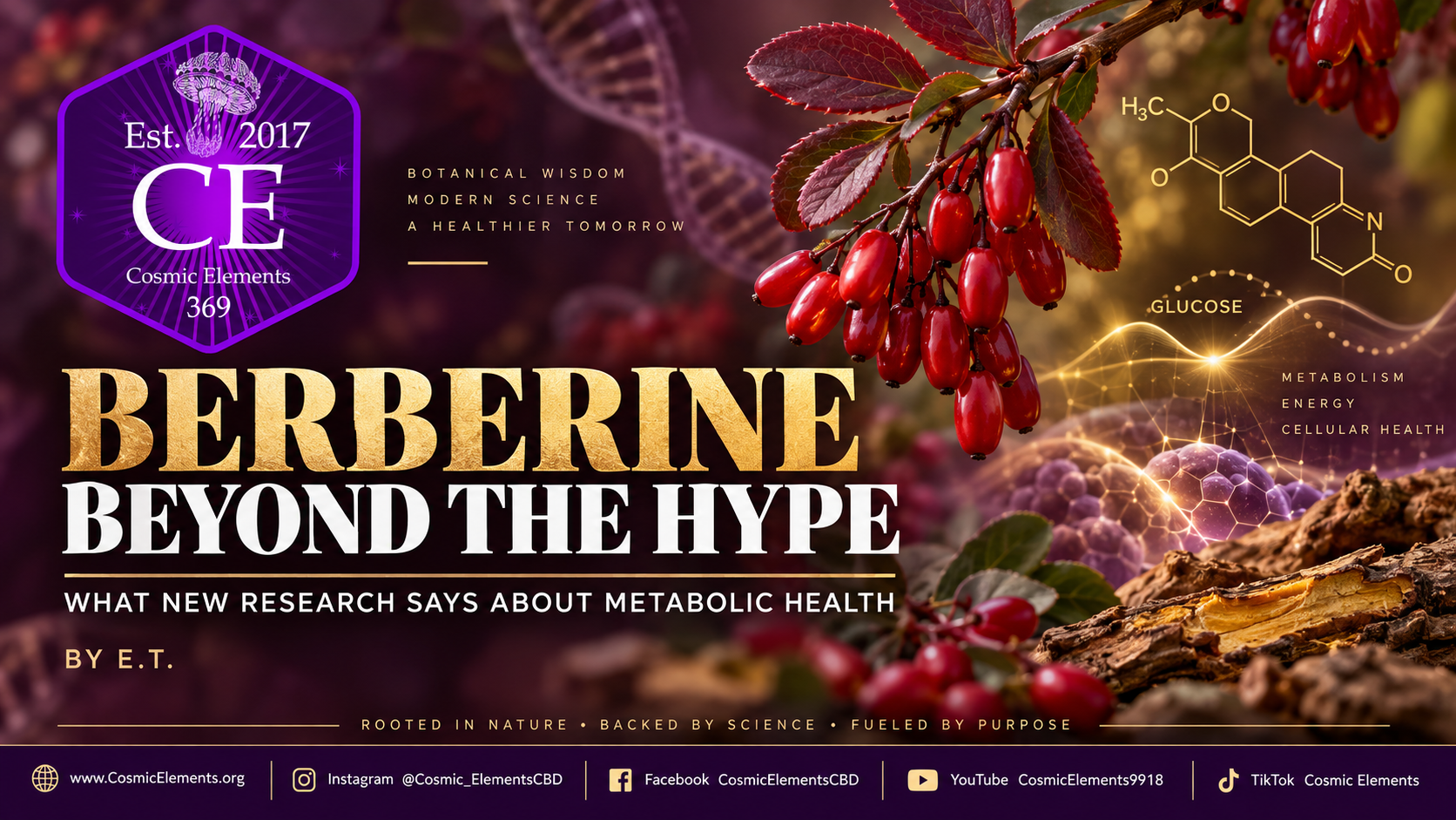 Berberine for metabolic health research by Cosmic Elements