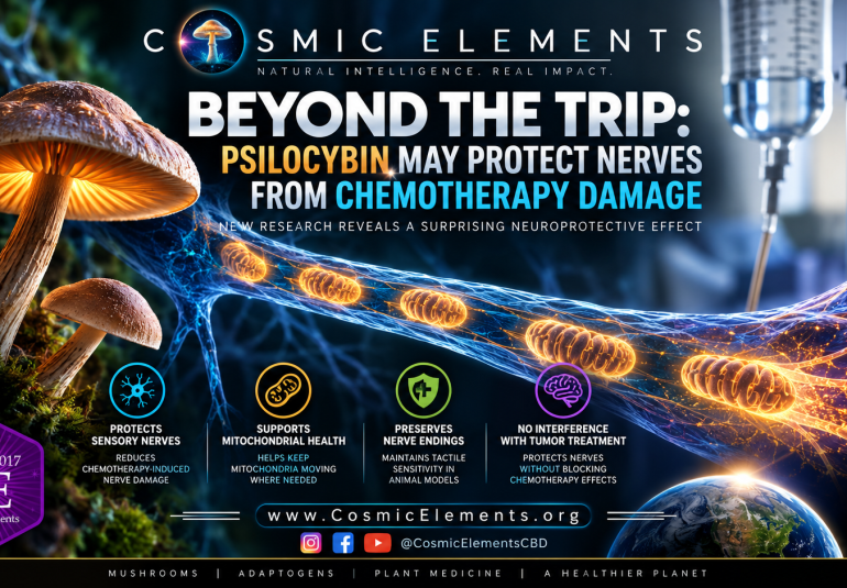 Psilo Chemo Protection