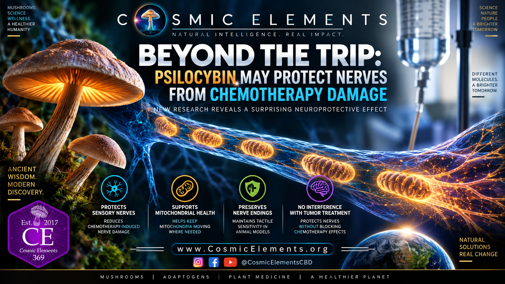 Psilo Chemo Protection